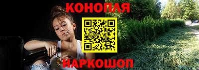 индика Кулебаки