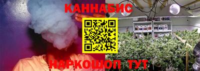 индика Кулебаки
