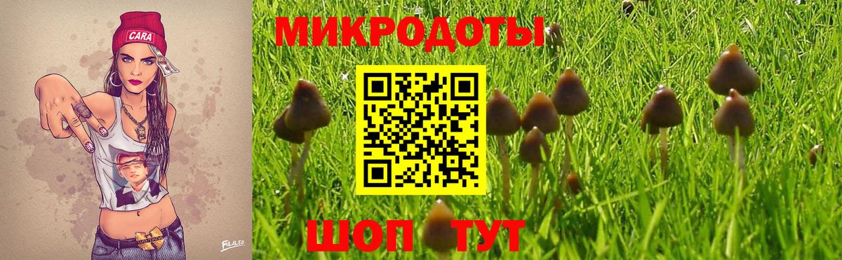 Галлюциногенные грибы MAGIC MUSHROOMS Ишим
